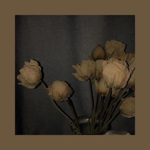 文艺背景图 灵感与诗意的视觉叙事